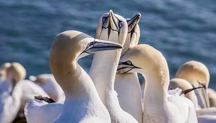 慈溪高价上海医保提取2025的最新政策(2025年慈溪上海医保怎么提取现金分享)